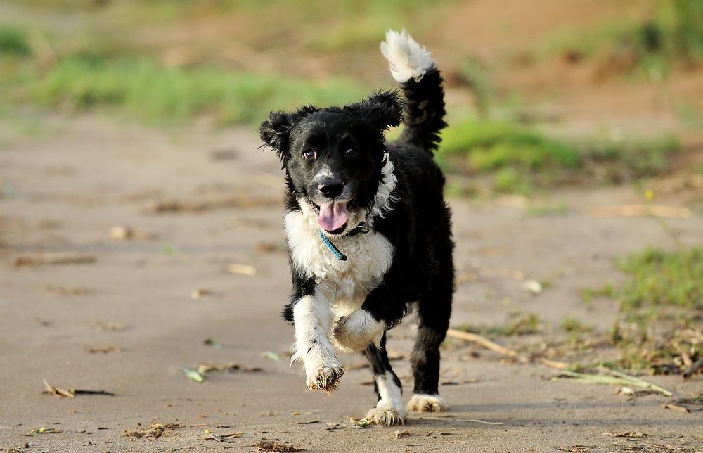 Photograph by Алексей Volg