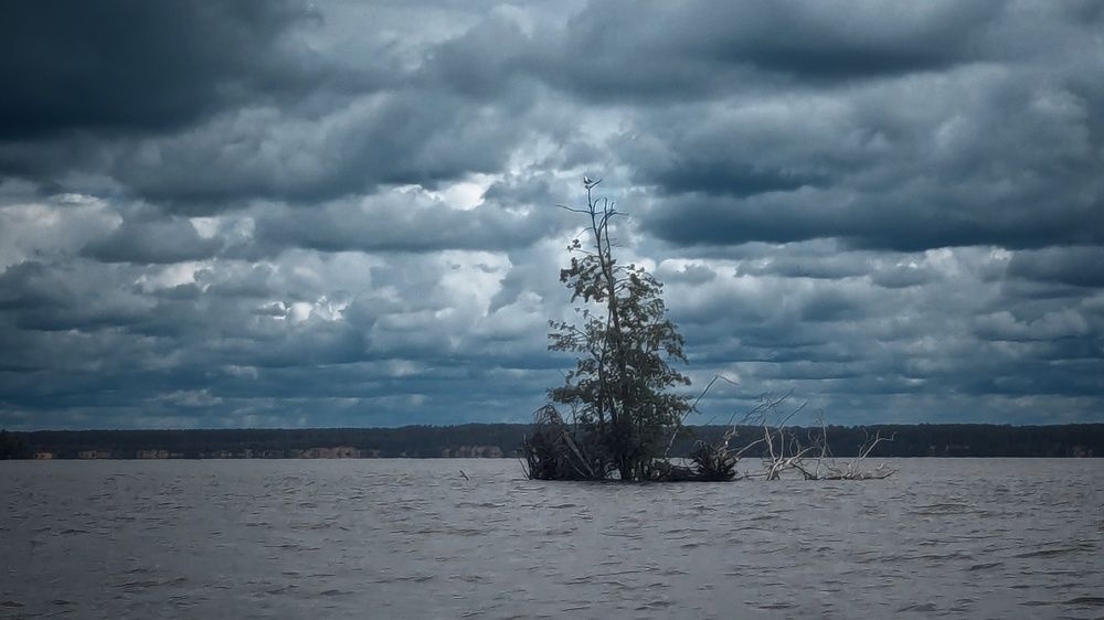 Photograph by Алексей Худяков