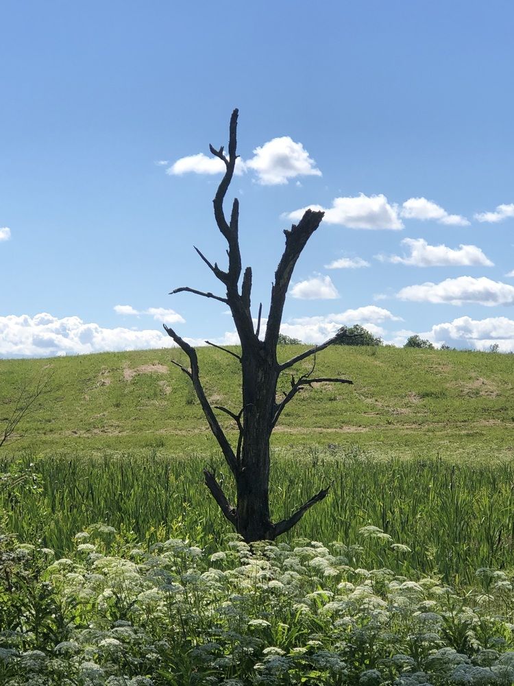 Photograph by Мария Бессмертная