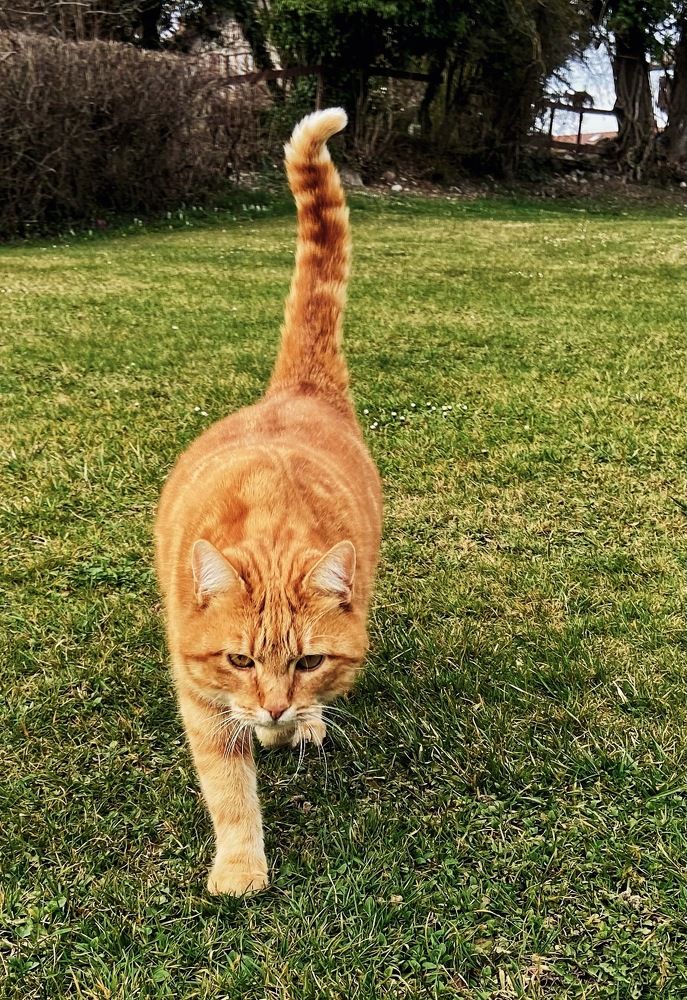 Photograph by Marina Odintsova