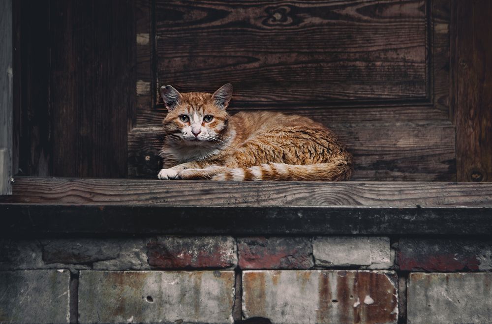 Photograph by Андрей Данилов