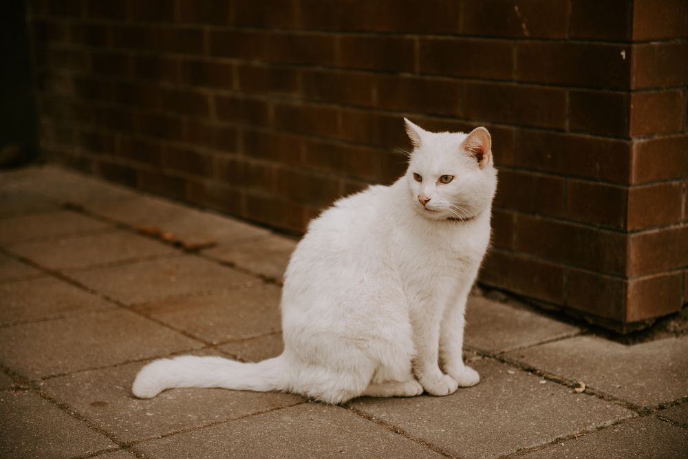 Photograph by Надежда Московская