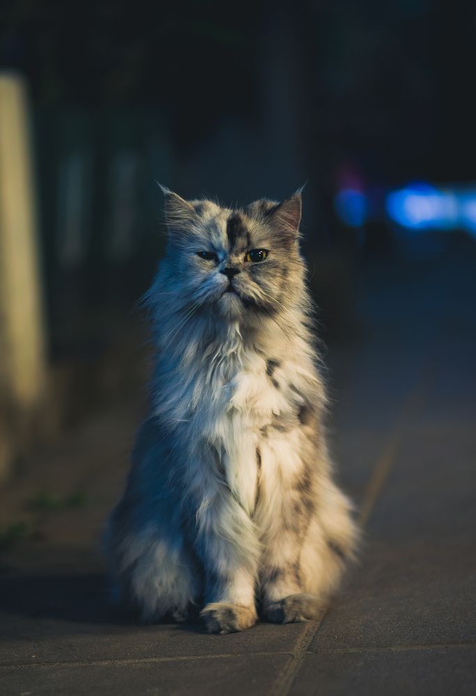 Photograph by Андрей Данилов