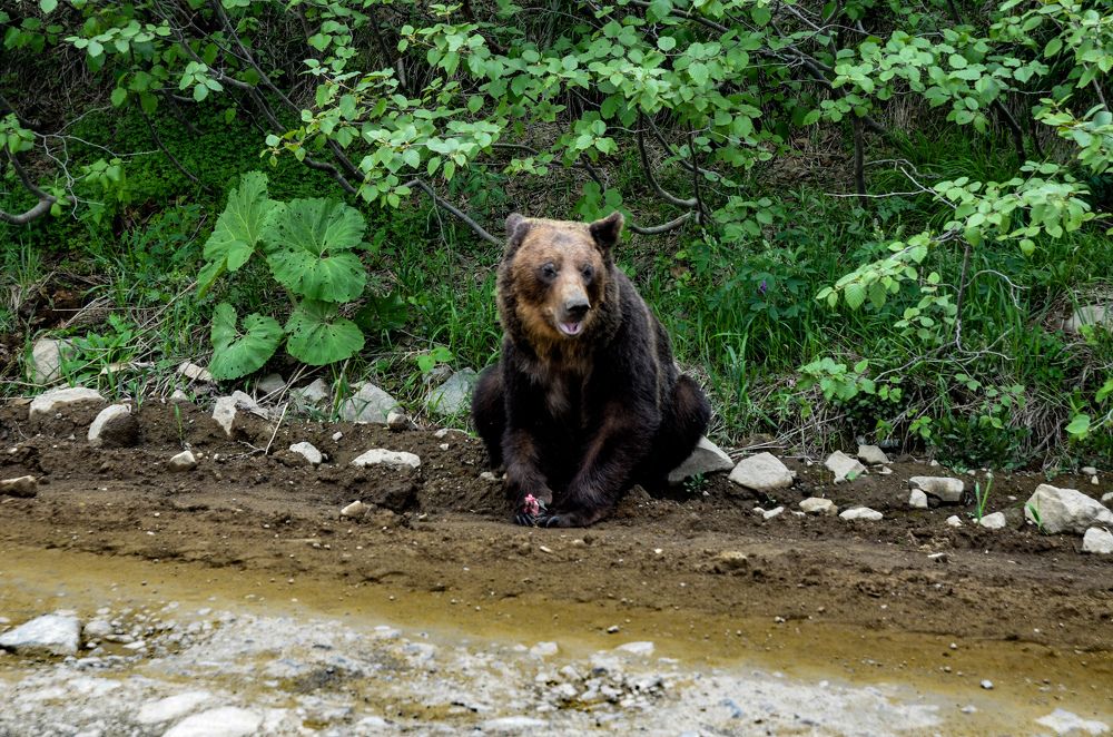 Отобрал улов