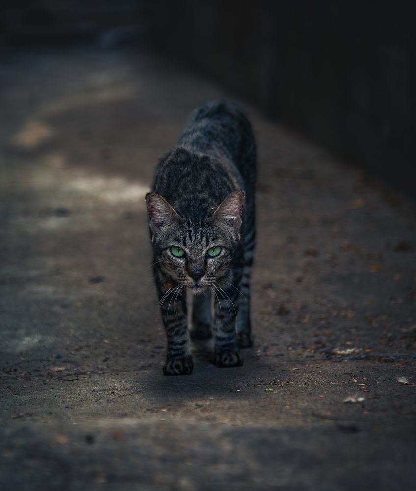 Photograph by Андрей Данилов