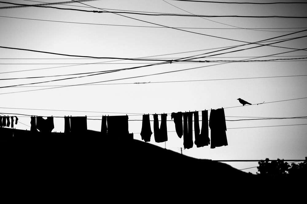 Фотография автора Майрануш Оганнисян