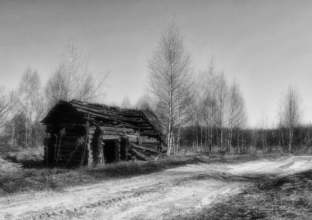 Photograph by Фёдор Куракин