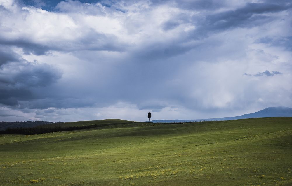 Photograph by Andrei