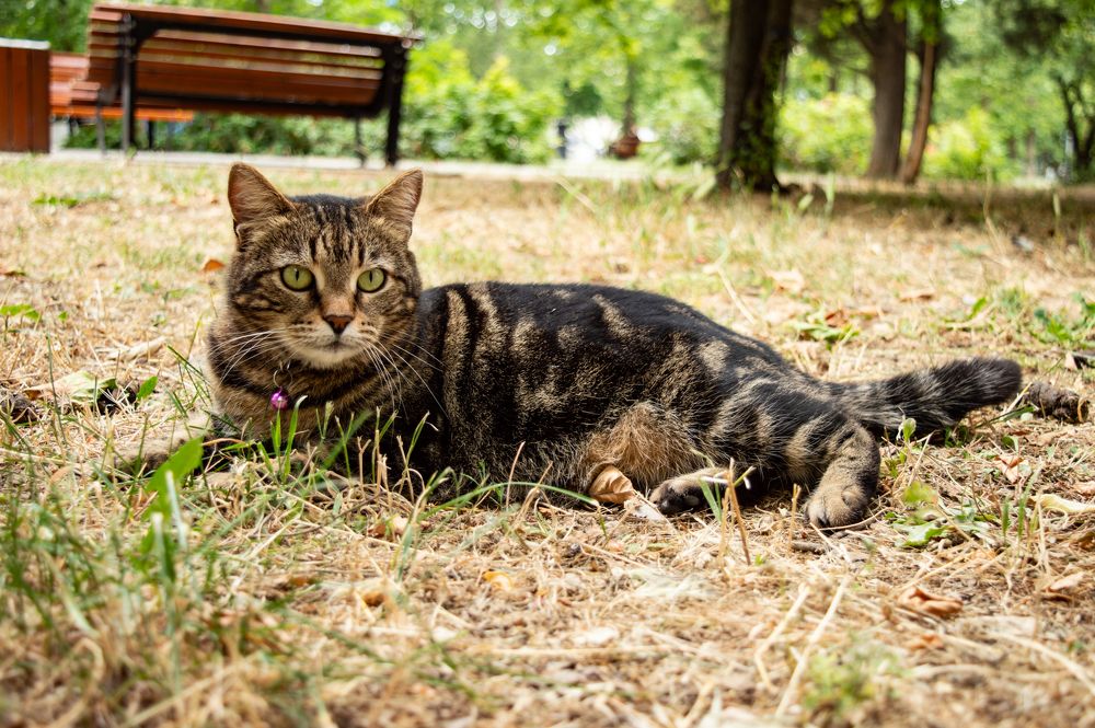 Photograph by Ирина Саможенова