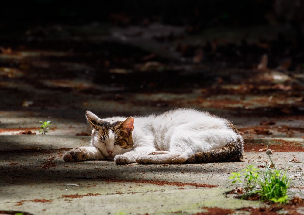 Photograph by Alexander Omelchuk