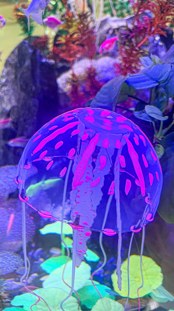 Photograph by Mohammadreza Majlesifar