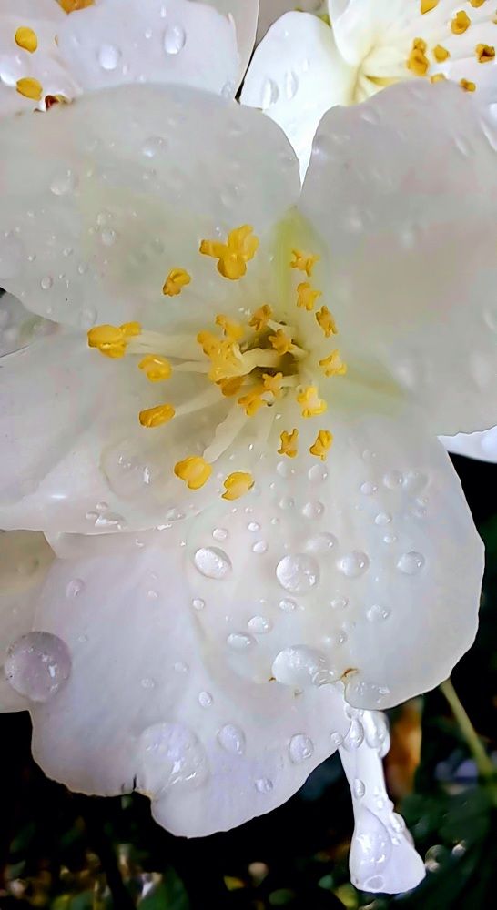 Photograph by Александра