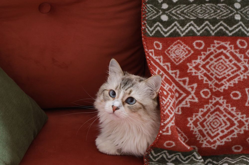 Photograph by Сергеев Евгений