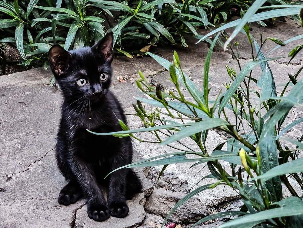 Photograph by Armando Eusebio Valladares Quinteros