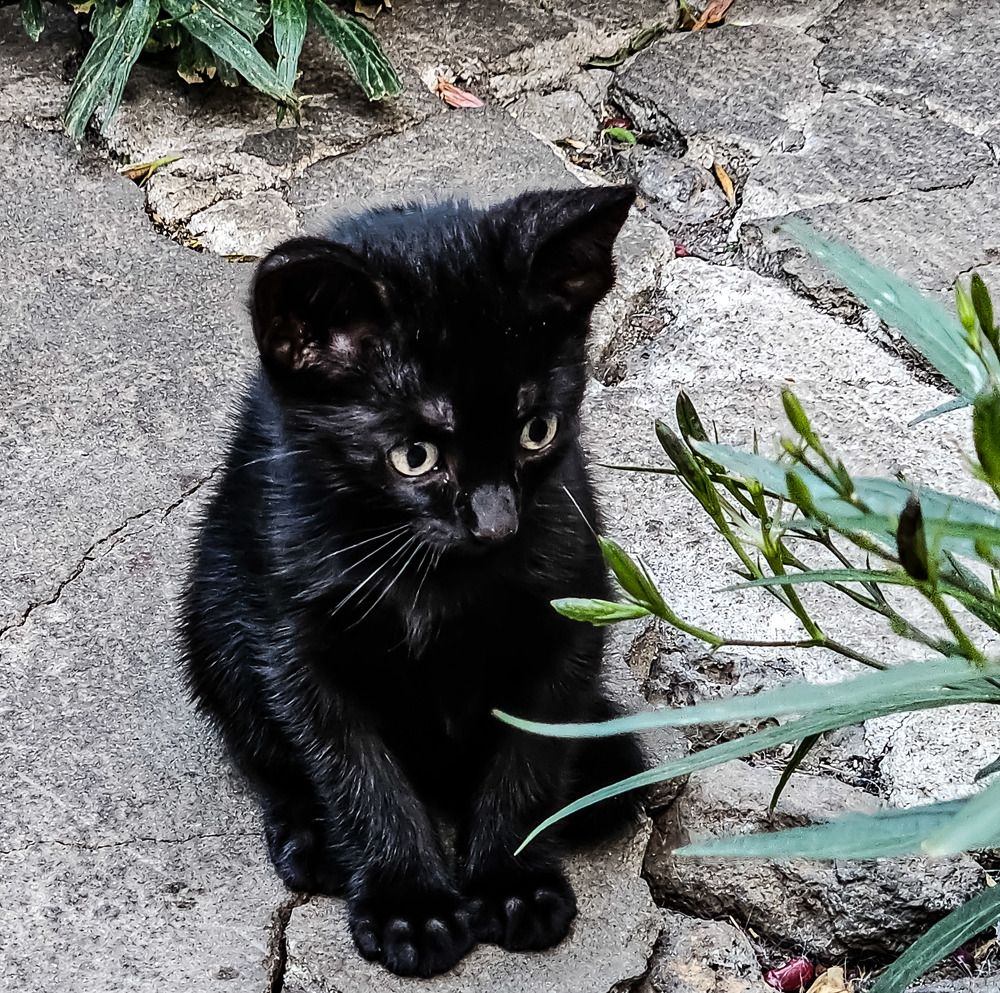 Photograph by Armando Eusebio Valladares Quinteros