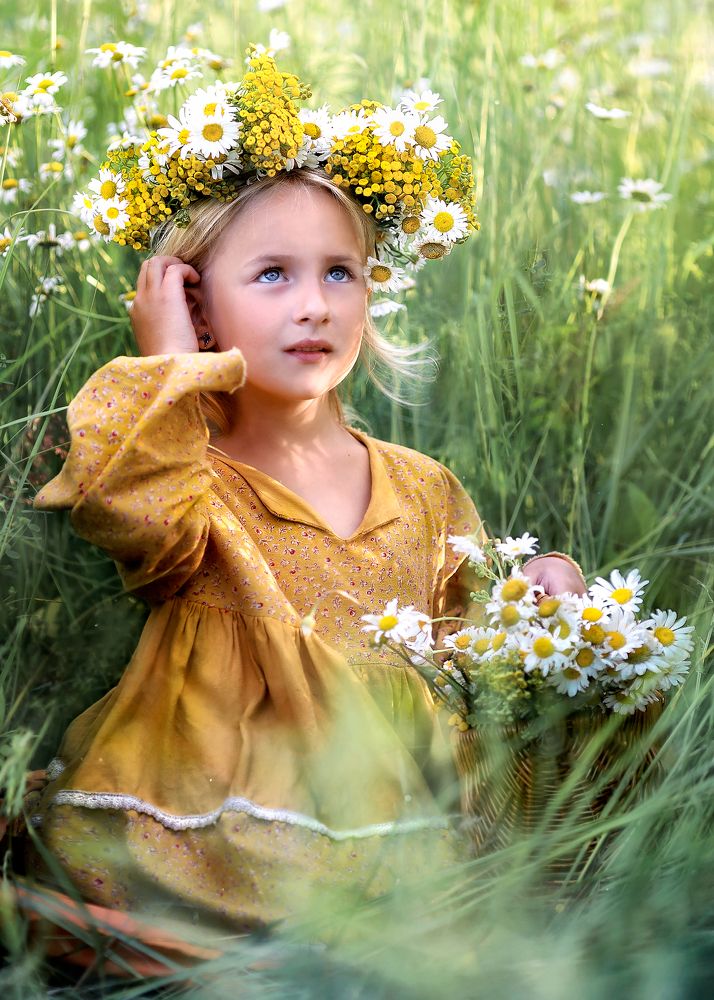 Ромашковое лето