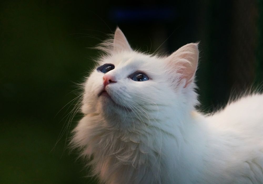 Photograph by Süleyman Ülker