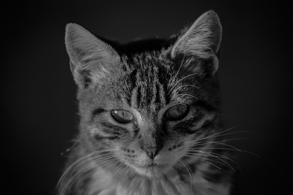 Photograph by Mohamed Achlaji
