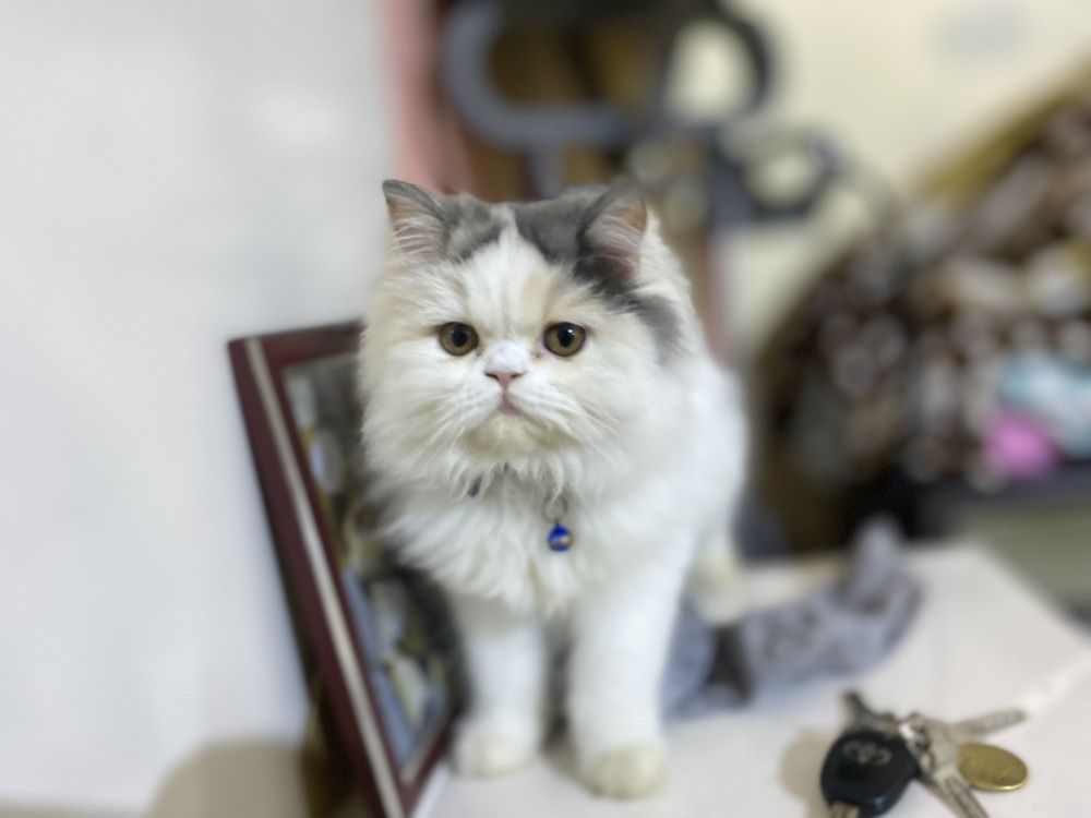 Photograph by mohammed maarij