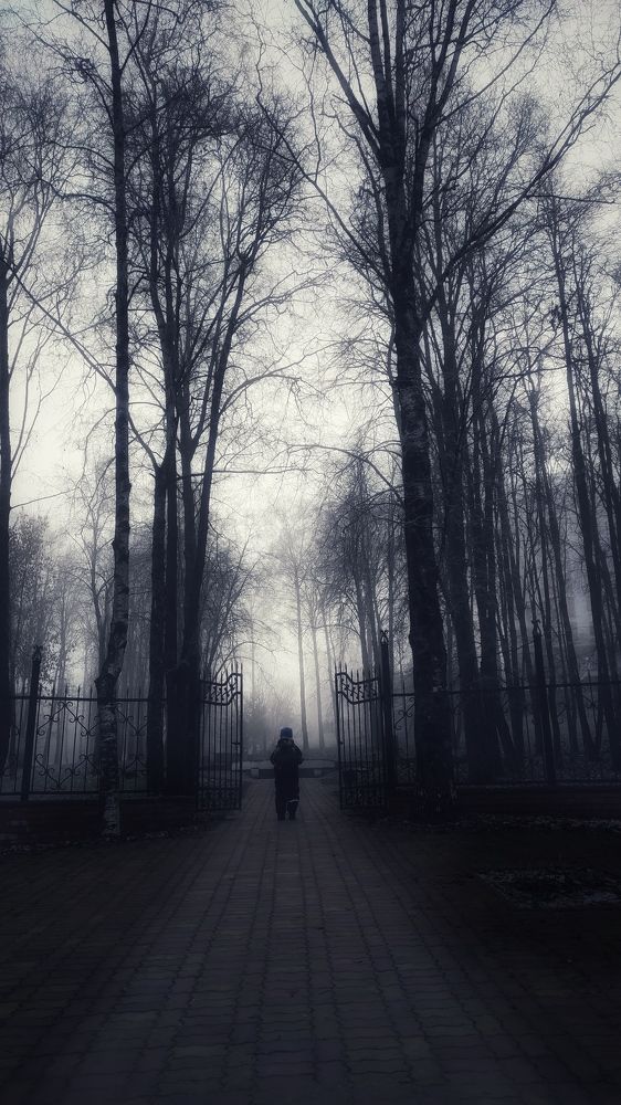 Photograph by Елена Гостева