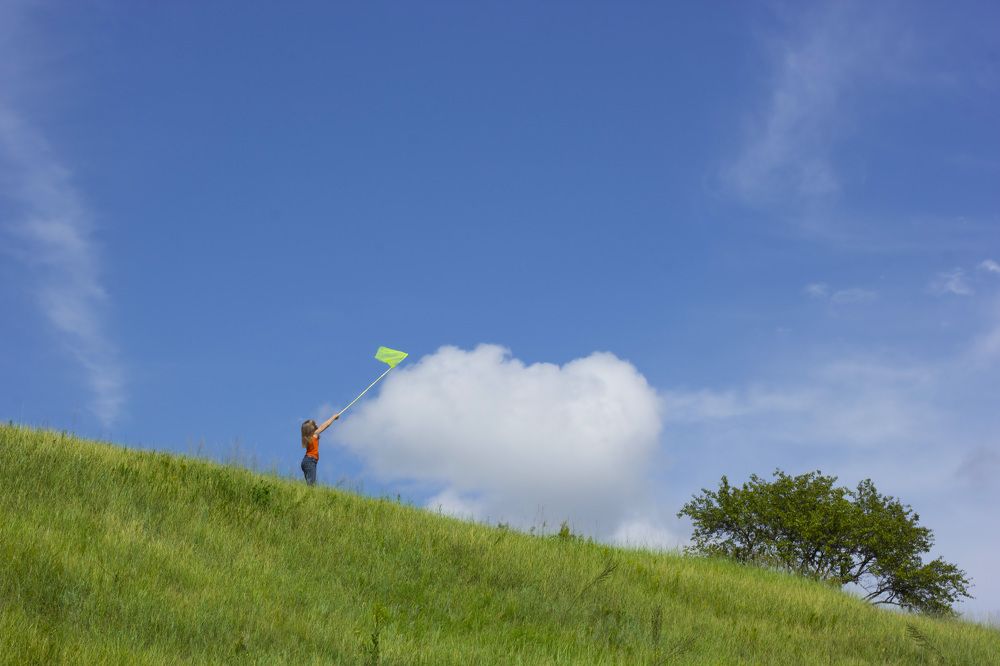 Photograph by Nataliia Nedelina