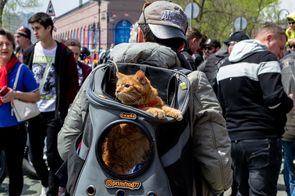 Photograph by Igor Savchenko