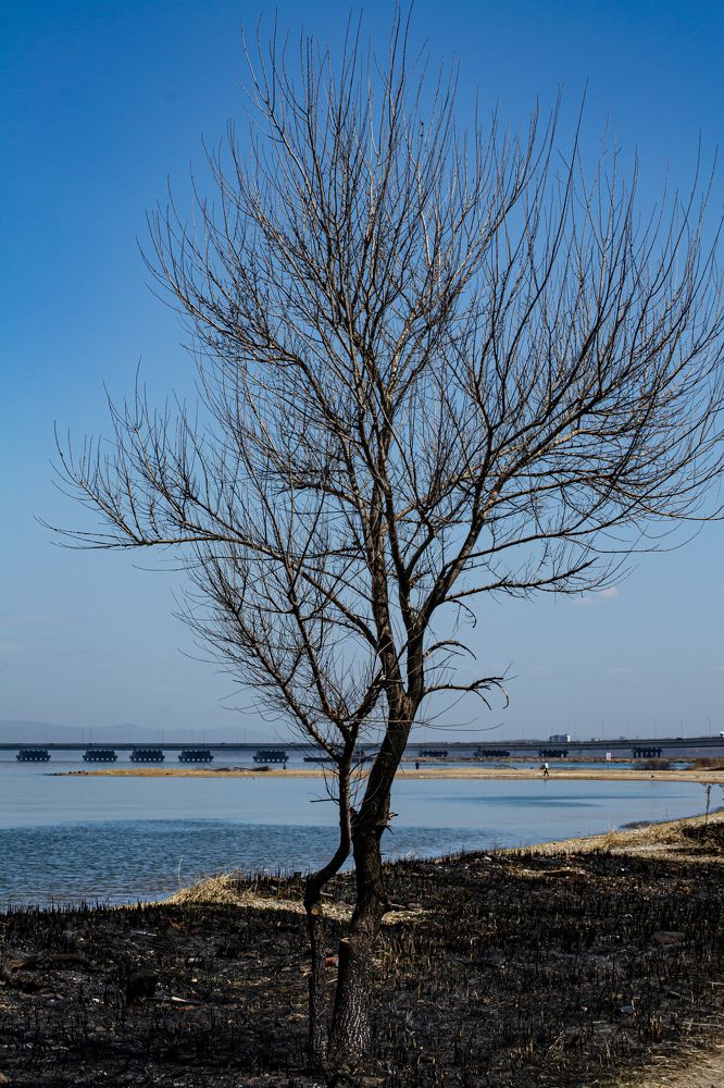 Photograph by Igor Savchenko