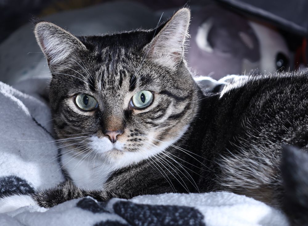 Photograph by Анна Авилочкина