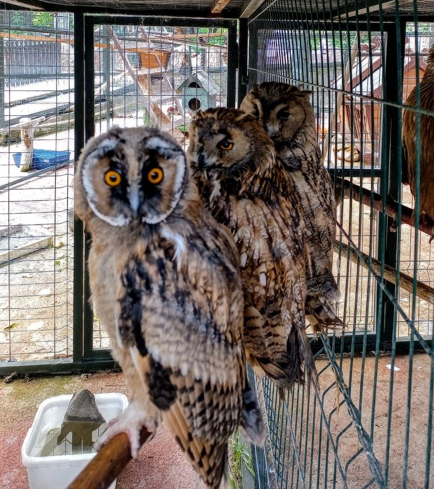 Photograph by Александр