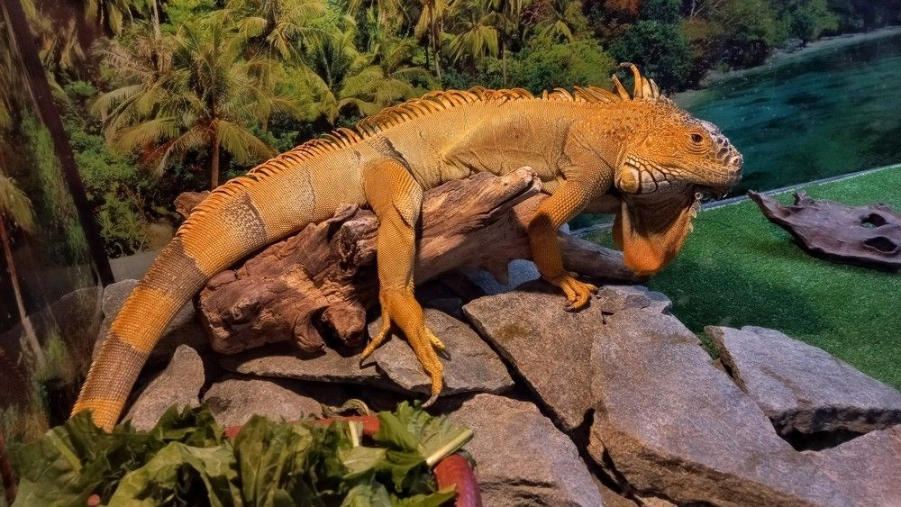 Photograph by Александр