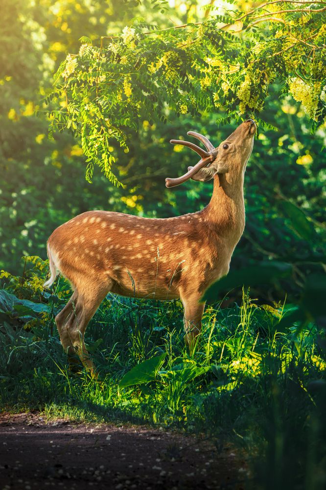 Photograph by Hoang Minh Khuong