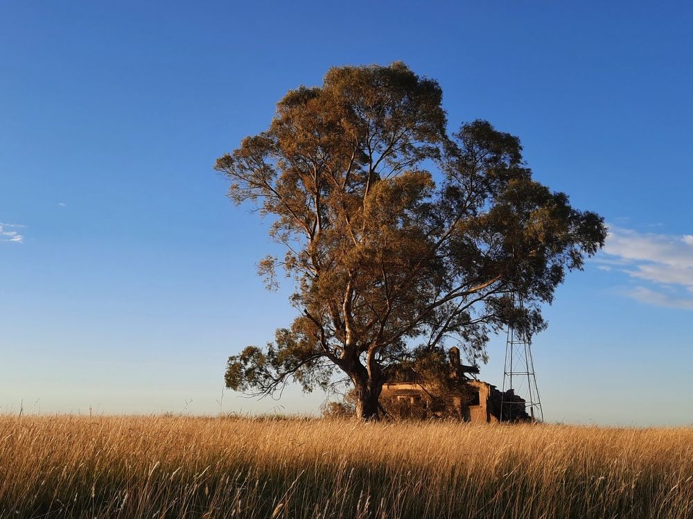 Photograph by Beatriz Games