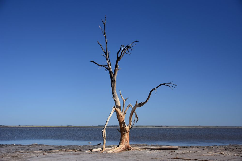 Photograph by Beatriz Games