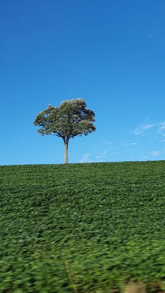 Photograph by Dâmaris Ferrão