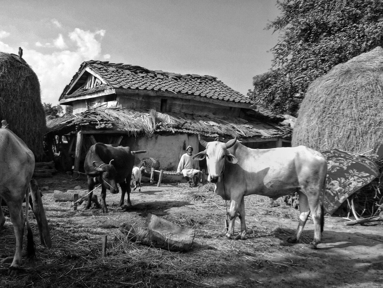 Village