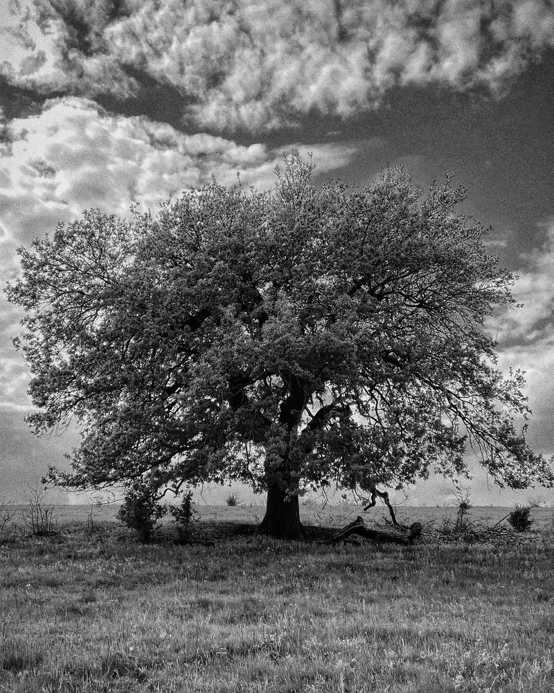 Photograph by Александр Истраткин