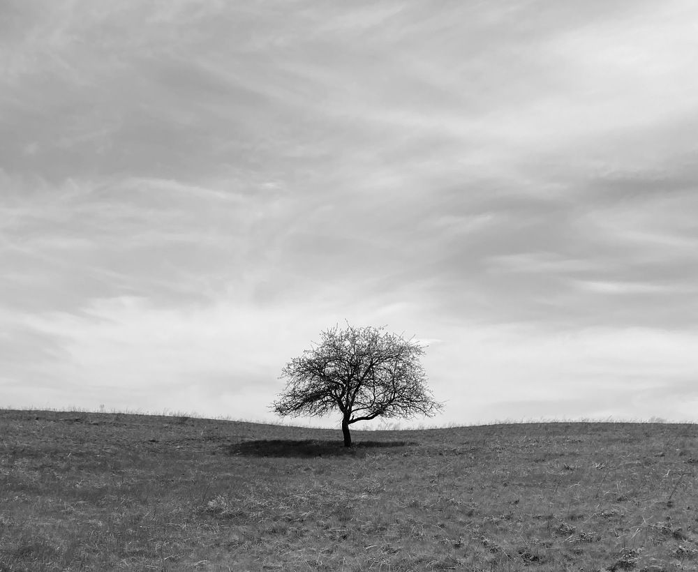 Photograph by Александр Истраткин