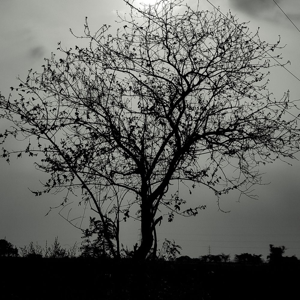 Everlasting resilience