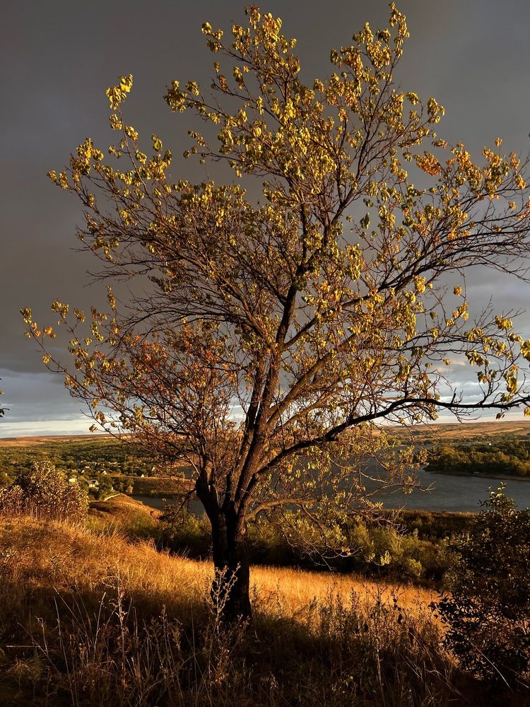 Photograph by Александр Истраткин