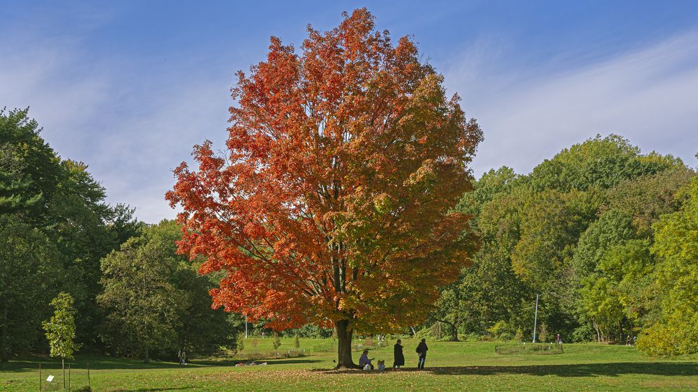 Photograph by Гришанов Пётр