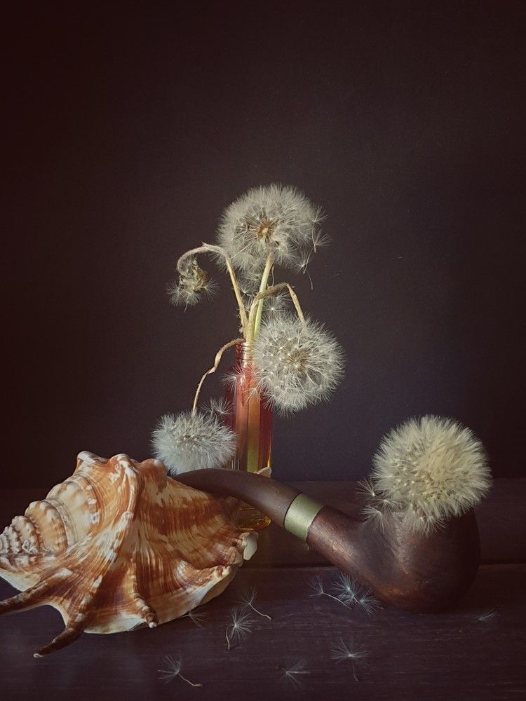 Photograph by Наталья Коншина