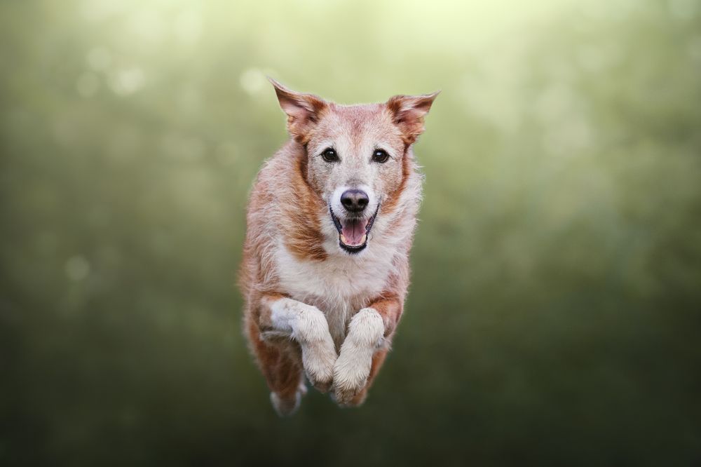 Photograph by leticia pascual garcia