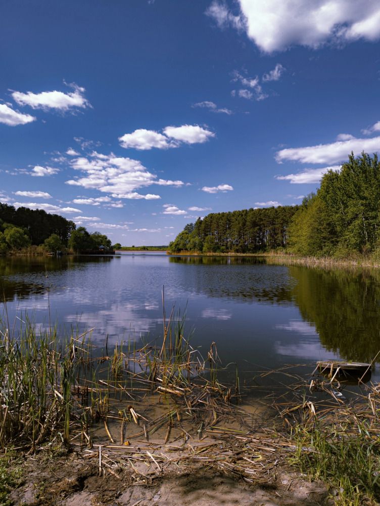 Фотография автора Анастасия Ильина