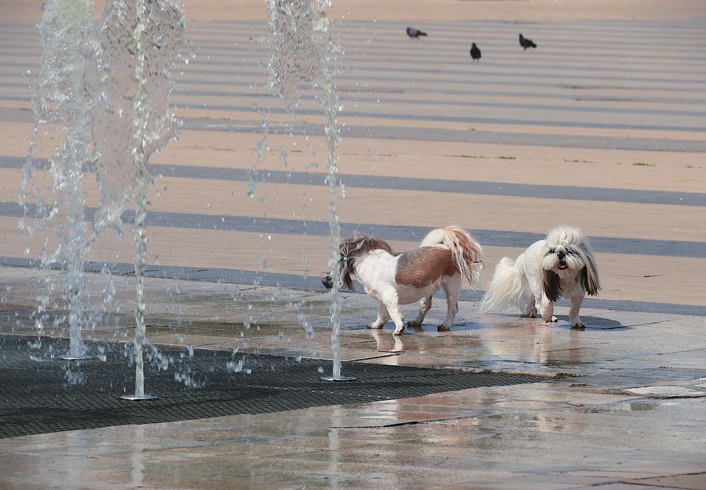 Photograph by Гагик Саркисян