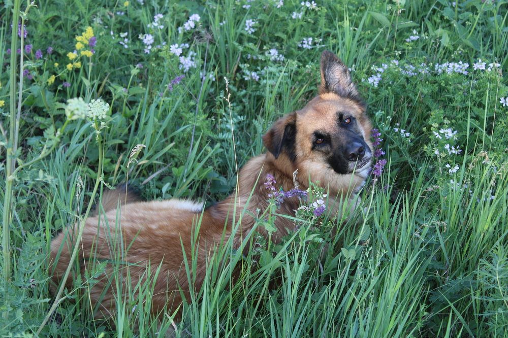 Фотография автора Иван Кириллов