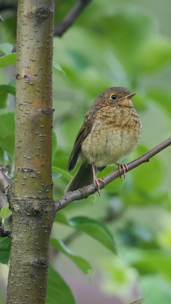 Photograph by Михаил Трусов