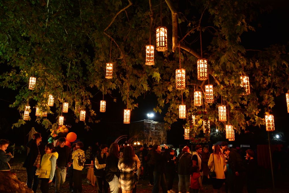 Photograph by Shota Gogoli