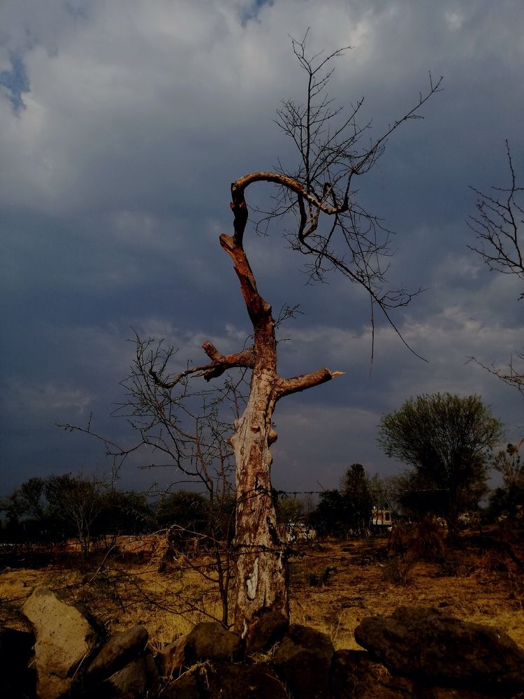 Photograph by Andrea Alcalá