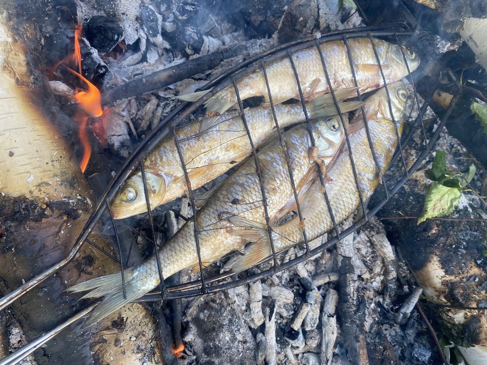 Photograph by Станислав Карнаухов