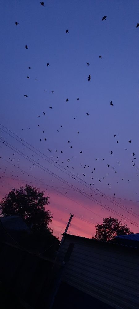 Photograph by Олеся Александрова